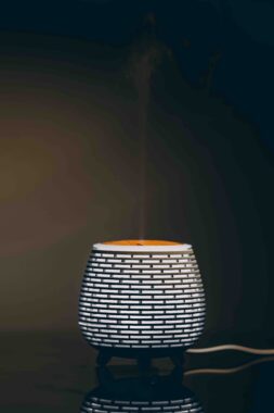 diffusori elettrici